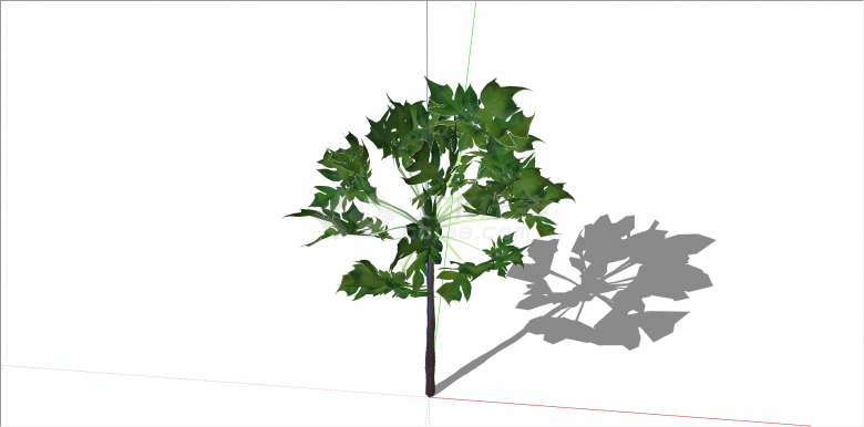单棵景区结果景观树su模型-图二