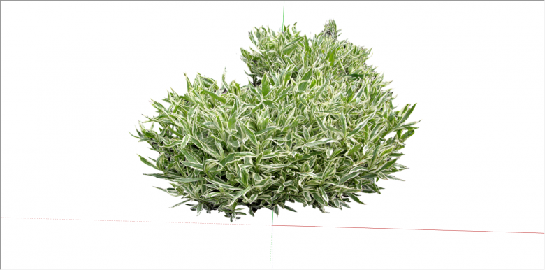 家居养殖绿白色叶植物su模型-图二