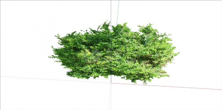 现代小绿叶组合植物su模型-图二