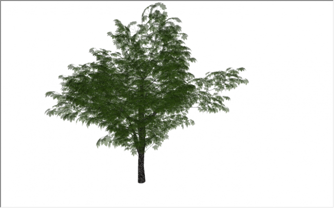 现代景观绿化树常绿乔木su模型_图1