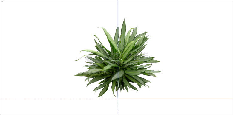 现代花开状绿叶植物su模型-图一