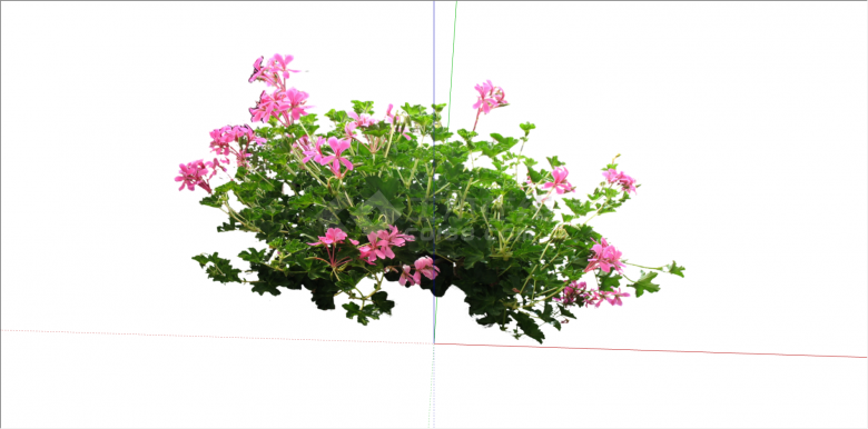 家居粉色花卉植物su模型-图二