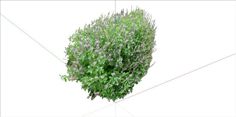 长虫状花卉灌木组合su模型-图二