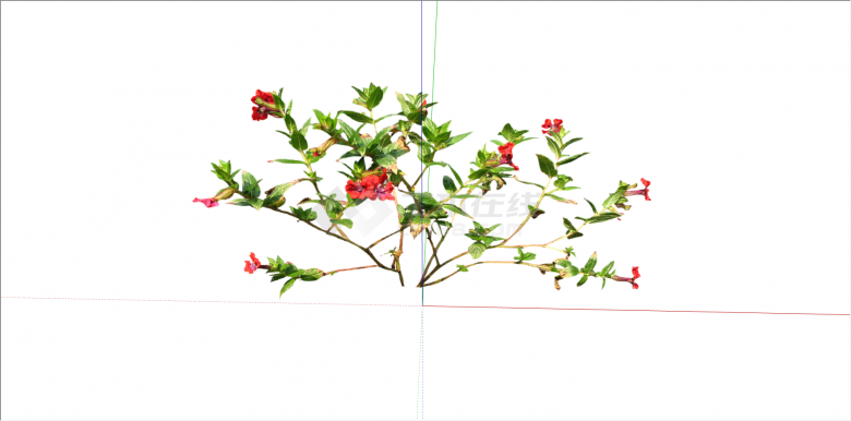 陆生红色花卉植物su模型-图二