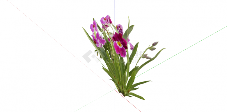 现代三色系花朵植物su模型-图一