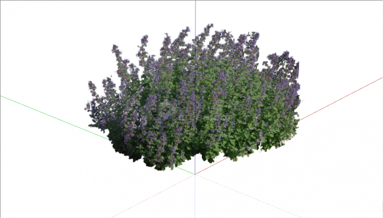 带有紫色小花的茂密植物su模型-图二