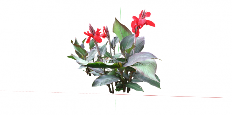 观赏性灌木花卉植物su模型-图二