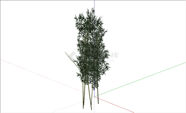 现代雪松乔木景观植物su模型-图一