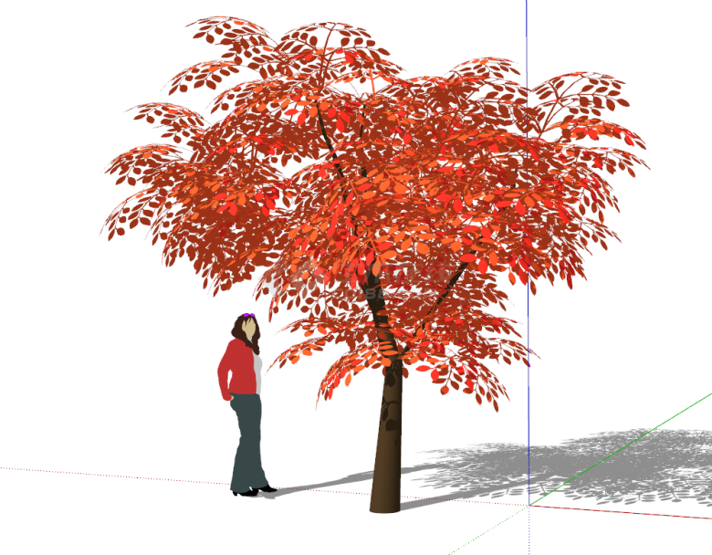 树叶婆娑的红色花乔木su模型-图一