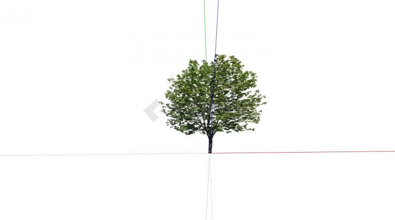 乔木深绿色植物外观su模型-图二