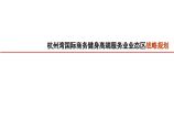 杭州湾国际商务健身高端服务业业态区战略规划方案图片1
