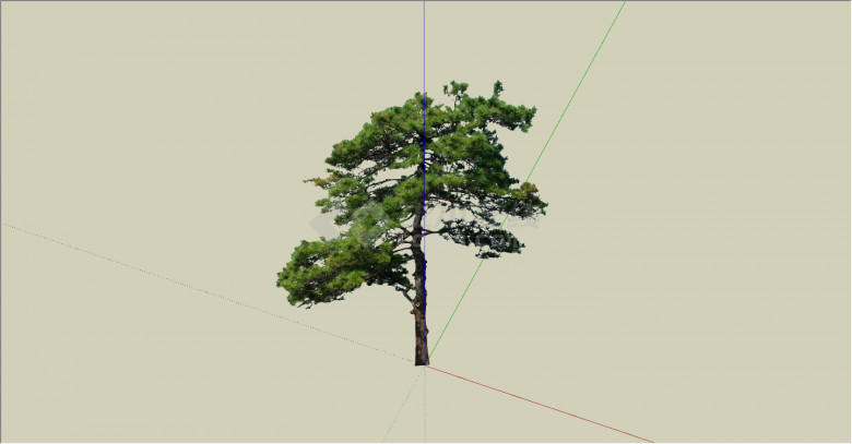 独特视野的松树乔木su模型-图二