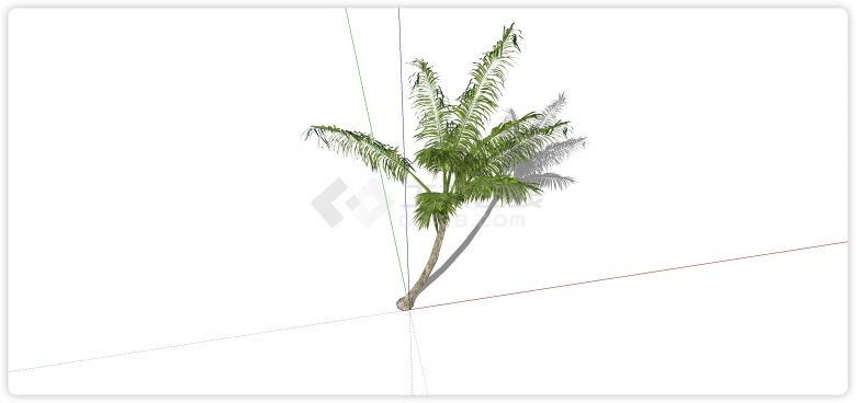大葵叶绿色植物su热带树模型-图二