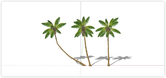 高长树干椰树热带树su模型_图1