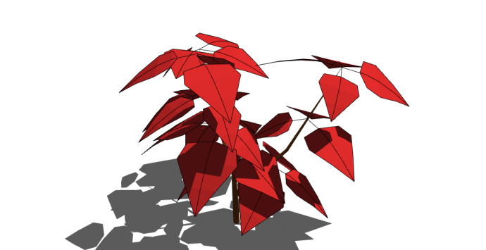 带有红色的树叶的植物su模型_图1
