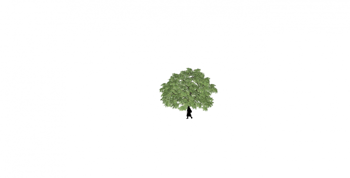 路边高大独立树木与路人SU模型_图1