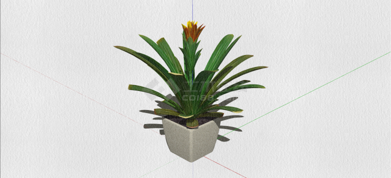 石蒜科君子兰室内植物su模型-图二