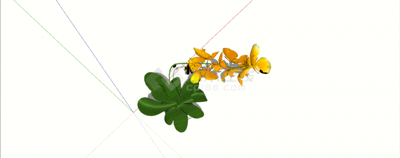 橙色蝴蝶兰室内植物su模型-图二
