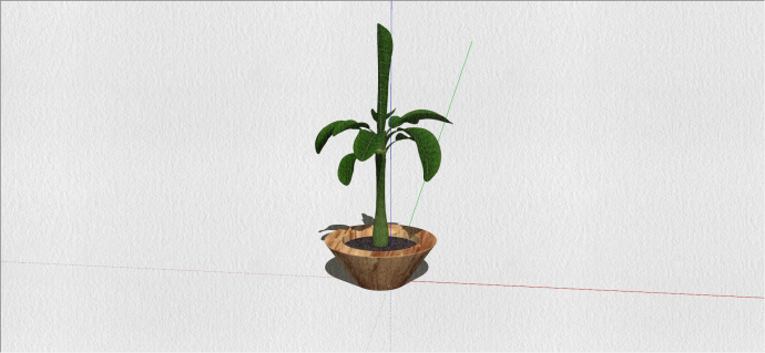木棉科瓜栗室内植物su模型_图1