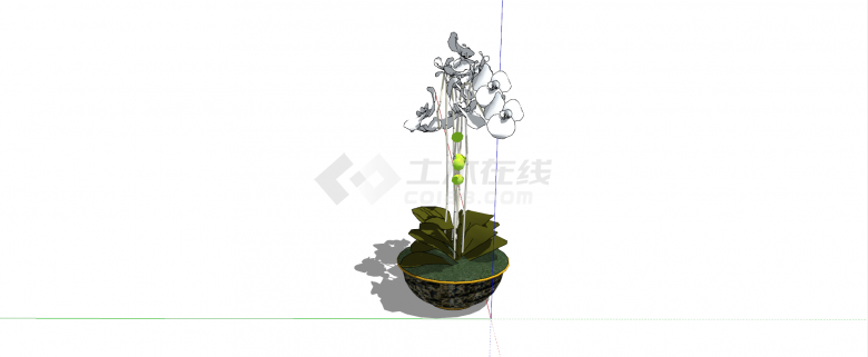 鲜艳白色蝴蝶兰室内植物su模型-图二