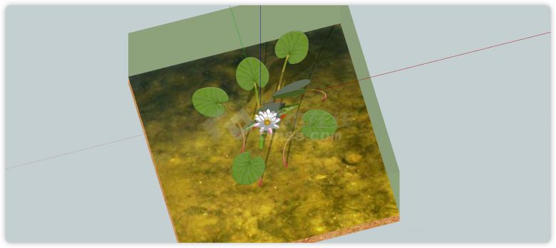 水中鲤鱼荷花室内植物su模型-图二