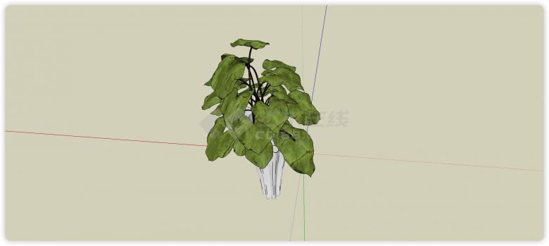 波浪状花盆琴叶榕室内植物su模型-图二