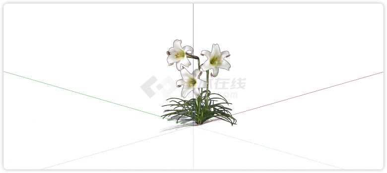 白色百合花室内植物su模型-图一