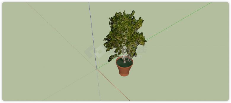 陶罐花盆细叶植物室内植物su模型-图二