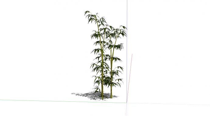 枝叶繁茂的景观绿竹su模型_图1