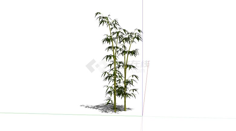 枝叶繁茂的景观绿竹su模型-图一