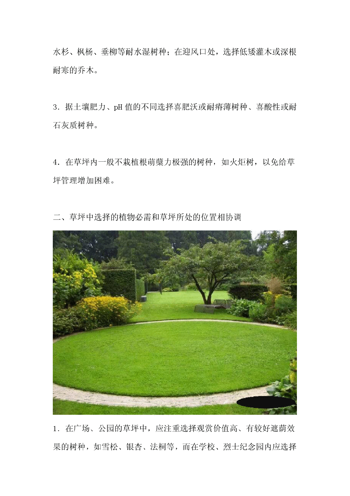 结合草坪如何选择植物合理配置造景-图二