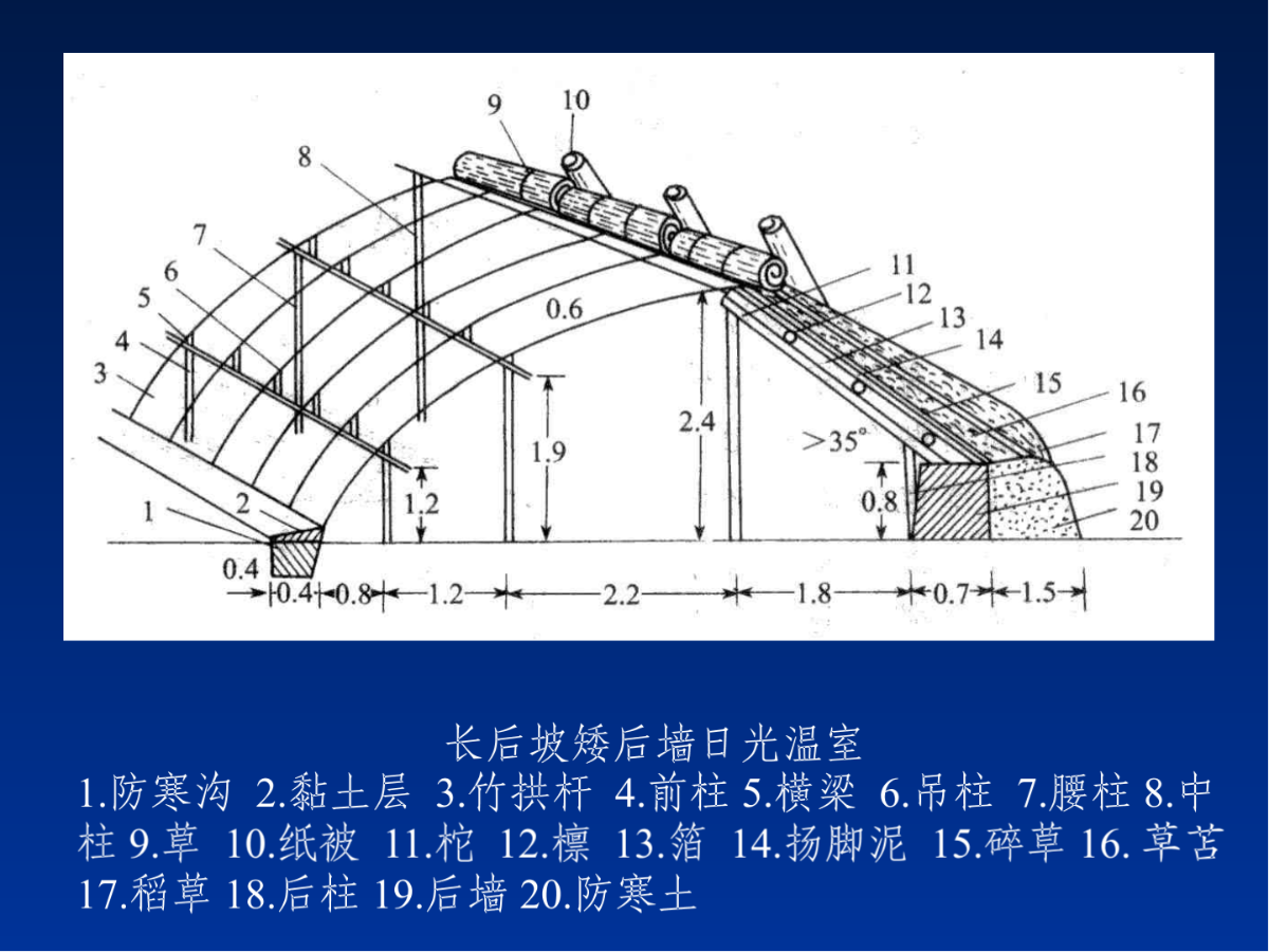 日光温室的建造与应用-图一