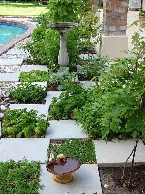 我家有个院子，养花种菜!