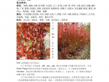 天津市园林绿化适生树种分类参考图片1