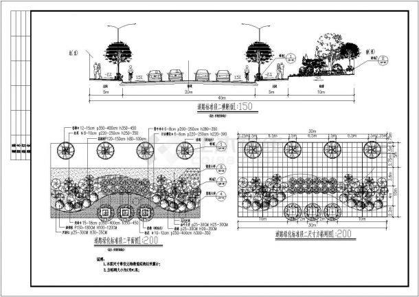 城市道景观CAD图纸（10米宽自然绿化带）-图二