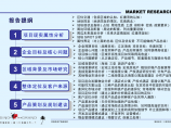 三亚红塘湾旅游商务酒店项目前期市场及产品定位-40PPT-2008年图片1