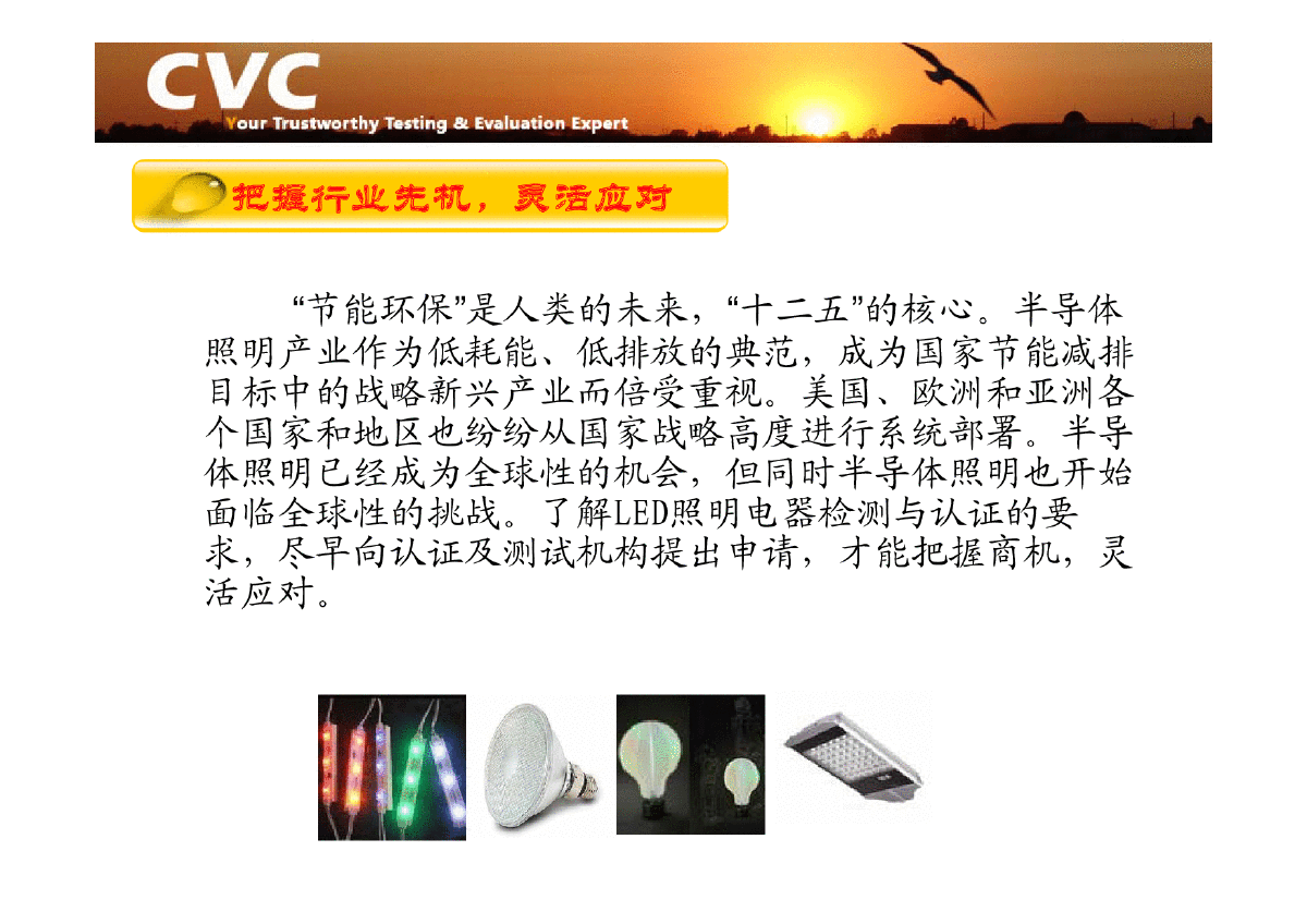 LED照明产品标准解读.pdf-图二