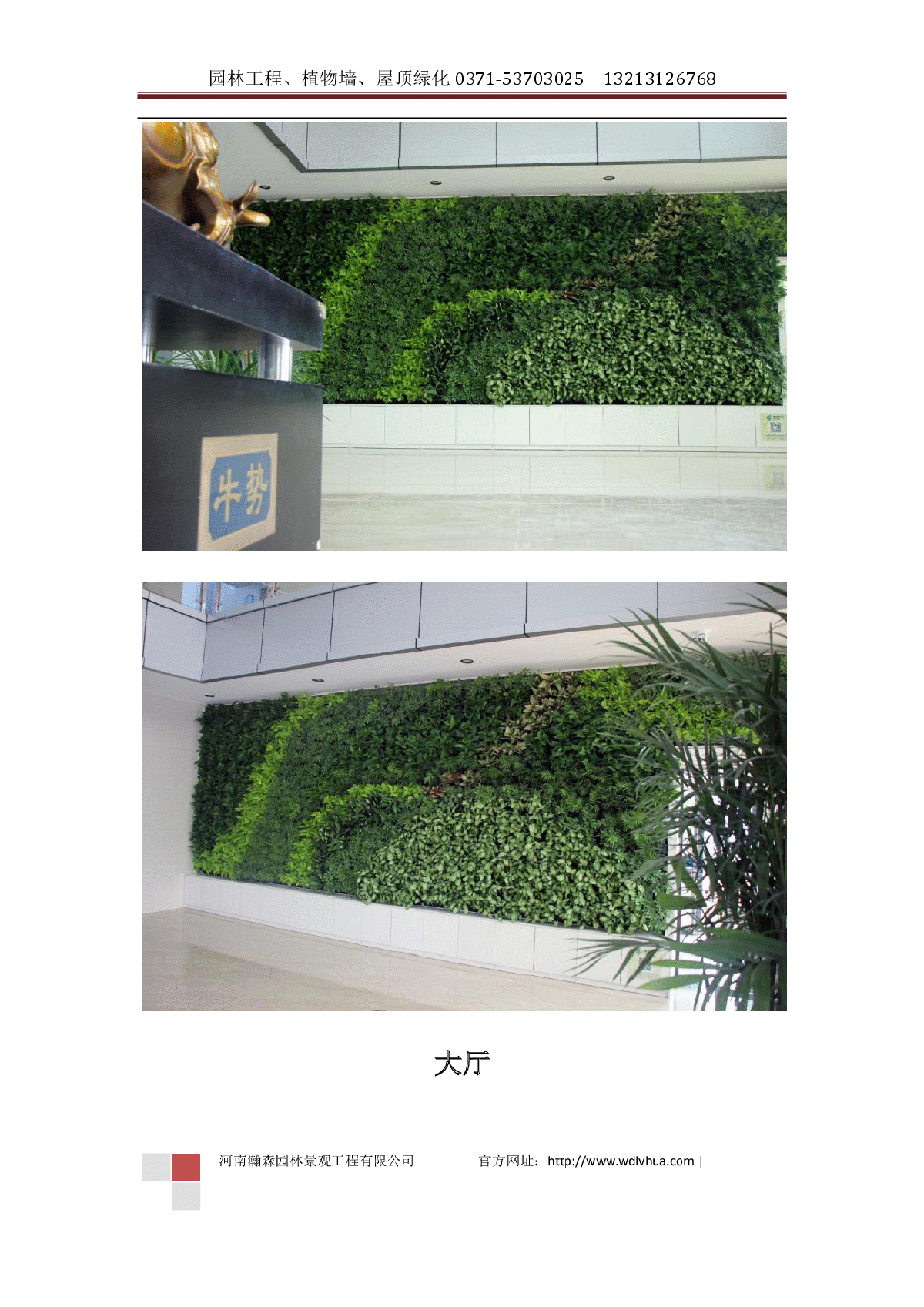 立体绿化-植物绿植墙-图二
