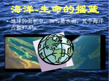 环境课件海洋与环境保护图片1