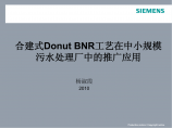 合建式Donut BNR工艺在农村生活污水处理中的推广应用图片1