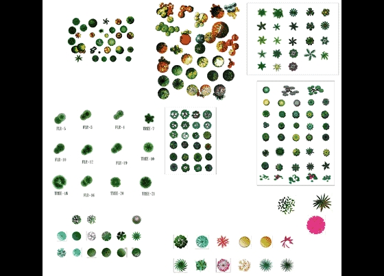 植物平面素材彩图_图1