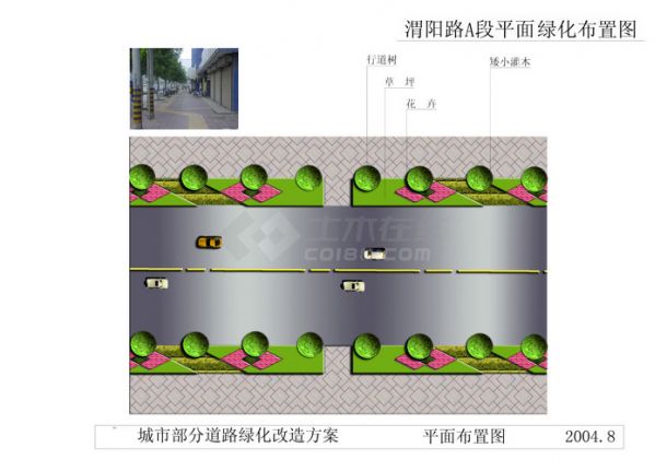 城市道路绿化改造方案2-图一