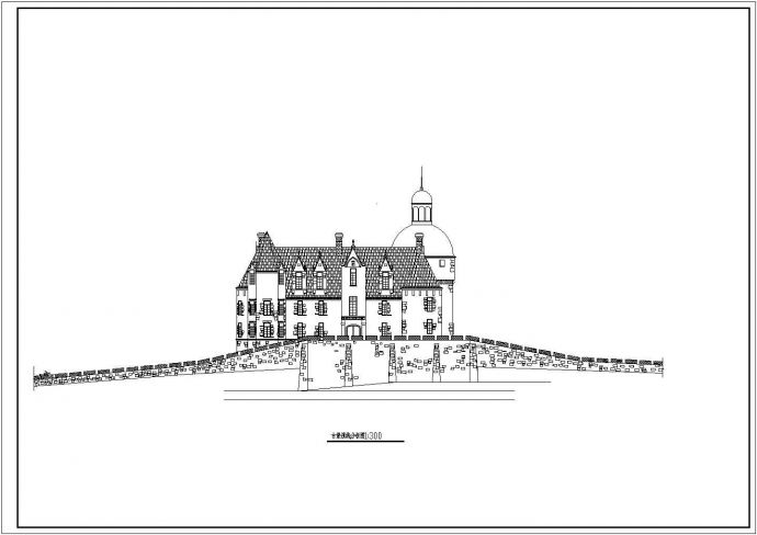 某地大型豪华三层法国古堡建筑设计图纸_图1