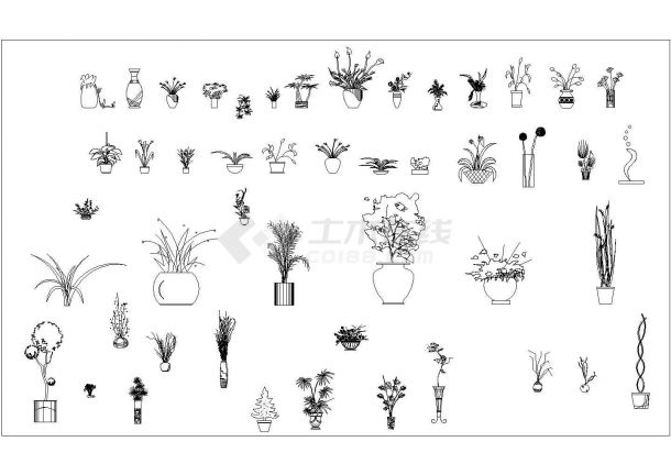某家装设计常用植物cad素材图纸-图二