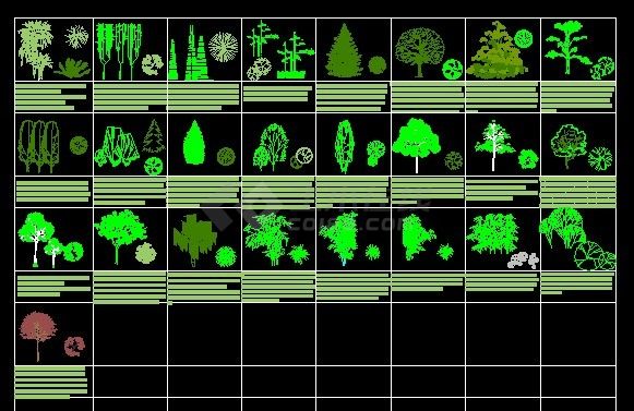 各种类CAD立面树造型-图一