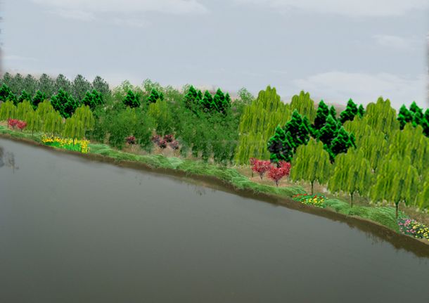 河边绿化-图一