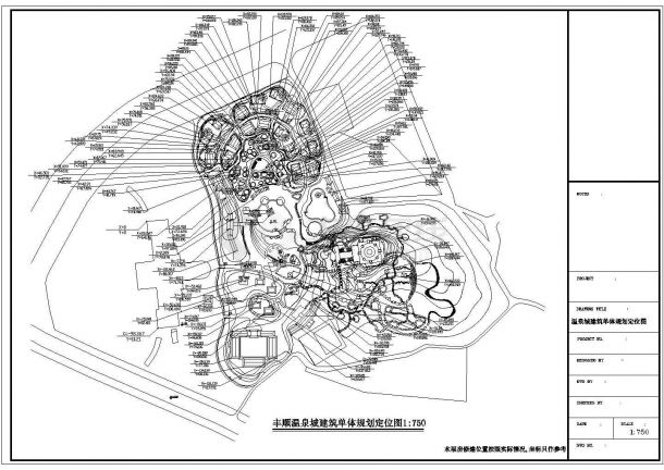 某地区温泉城总体规划设计cad图-图二