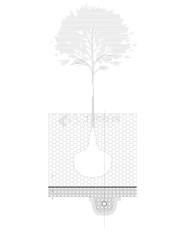 现代绿化种植范围盐碱土处理做法 详图-图二