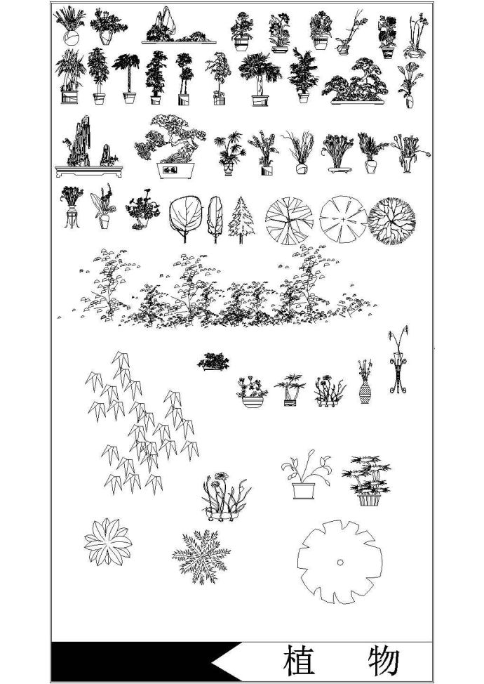 某个地区的绿化植物大全立面设计方案图_图1