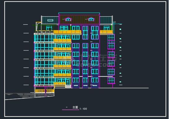 某武昌江边豪宅建筑CAD设计图纸-图二
